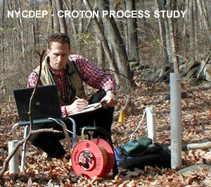 Copyright � 2001 BLU DOT INC.  All rights reserved.